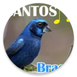 canto dos pássaros brasil android application logo